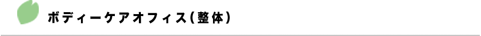 ボディケアオフィス(整体)