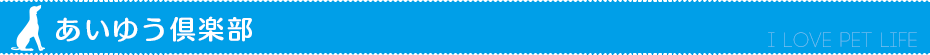 あいゆう倶楽部